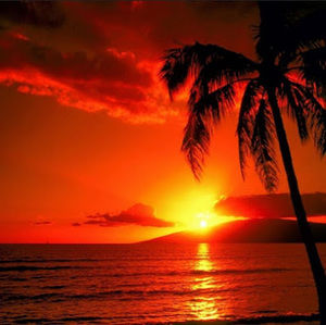 Meet your Posher, Gabriella